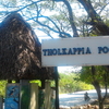Tholkappia Poonga Tholkappia Poonga