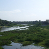 Adyar River Adyar River
