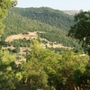 Ajloun Forest Reserve Ajloun Forest Reserve