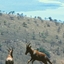 Akagera National Park