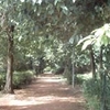 Bagh-E-Jinnah