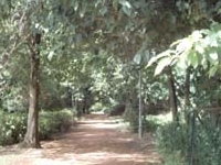 Bagh-E-Jinnah Bagh-E-Jinnah