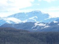 Alpe di Succiso
