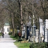 Alter Südfriedhof Alter Südfriedhof