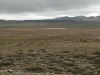 Ifrane National Park Ifrane National Park
