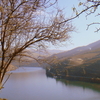 Douro DOC Douro DOC