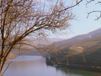 Douro DOC Douro DOC