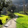 Dharamkot