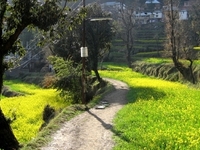 Dharamkot Dharamkot