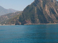 Aokas