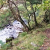 Arkle Beck Arkle Beck