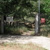 Armeni