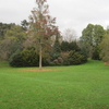 Avenue House Grounds