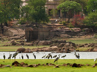 Pocharam lake Pocharam lake