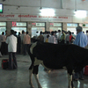 Ayodhya Junction Ayodhya Junction
