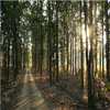 Bagdara Wildlife Sanctuary Bagdara Wildlife Sanctuary