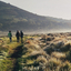 Bale Mountains National Park