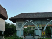 Bali Safari and Marine Park Bali Safari and Marine Park