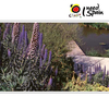 Barcelona Botanical Garden Barcelona Botanical Garden
