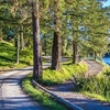 Bay of Plenty