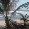 Fajara Fajara