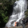 Bear Shola Falls