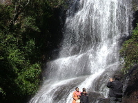 Bear Shola Falls