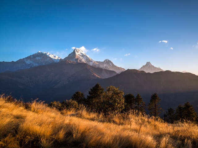 Annapurna Panorama Trek 11 Days