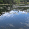 Berijam Lake Berijam Lake