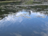 Berijam Lake Berijam Lake
