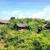 Bhadra Wildlife Sanctuary
