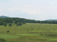 Big Meadows Big Meadows