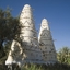 Siwa Oasis