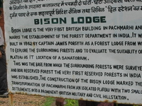 Bison Lodge