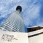 Bitexco Financial Tower Bitexco Financial Tower