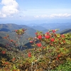 Craggy Gardens Craggy Gardens