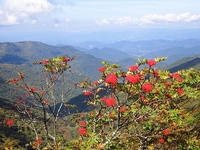 Craggy Gardens Craggy Gardens