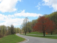 Blue Ridge National Parkway Blue Ridge National Parkway