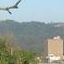 Blumenau
