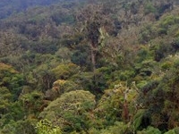 Amboro National Park Amboro National Park