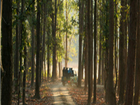 Bori Wildlife Sanctuary