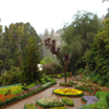 Ooty