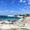 Boulders Beach