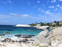 Boulders Beach Boulders Beach
