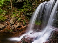 B. Reynolds Falls