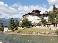 Paro Paro
