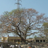 Brijghat Brijghat