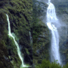 Browne Falls Browne Falls