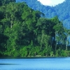 Bukit Barisan Selatan National Park Bukit Barisan Selatan National Park