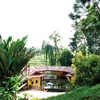 Bukit Gemok Bukit Gemok